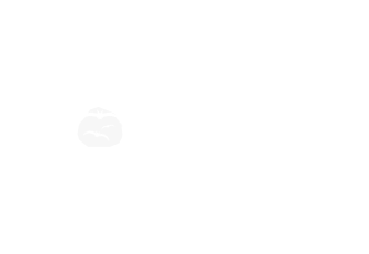 Flexibits