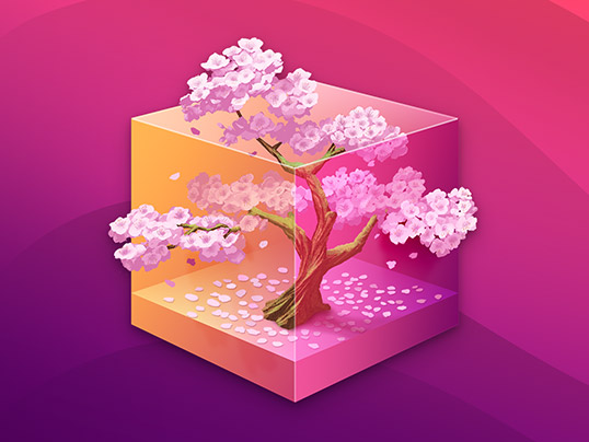 MuseBox app icon