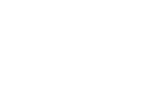 The Coding Monkeys